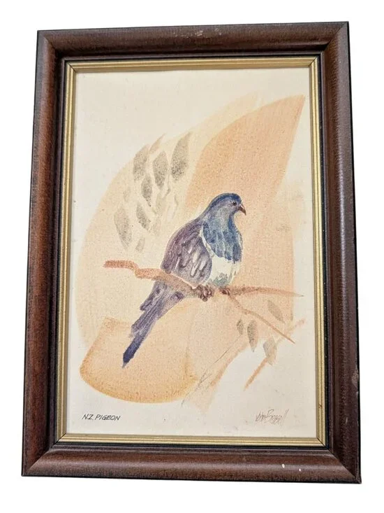 Vintage Framed NZ Pigeon Art John Russell 8.5"x6" Wood Frame bird Rustic Quirky - Picture 10 of 14